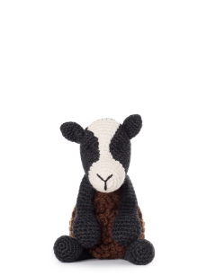 Noah the Zwartbles Sheep