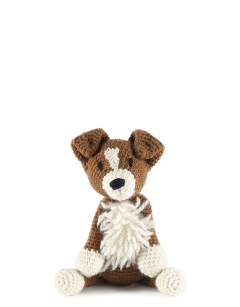 Jed the Border Collie