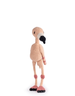 Margherita the Greater Flamingo