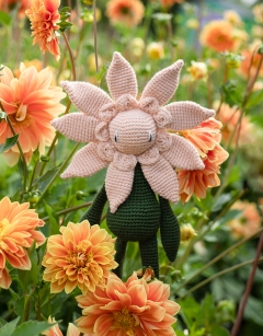 Formal Dahlia