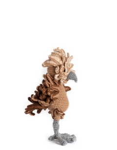 Calypso the Frizzle Chicken