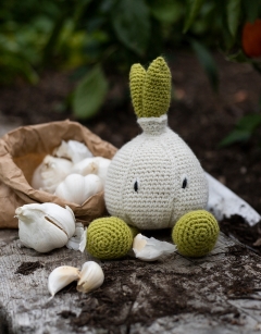 Garlic