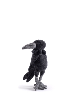 Henry the Raven