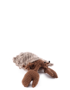Howard the Hermit Crab