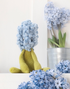 Hyacinth