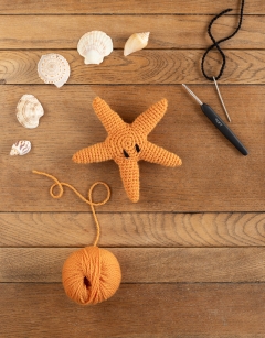 Mini Ringo the Starfish Kit