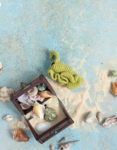 Mini Ace the Sea Slug Kit