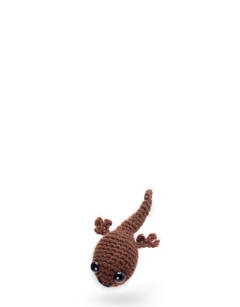 Pip the Tadpole