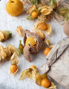 Physalis and Plum Jam Jar