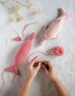 Cassian the Pink River Dolphin
