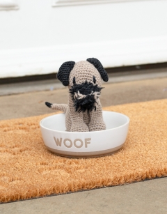 Rooney the Border Terrier