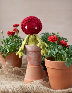 Ranunculus