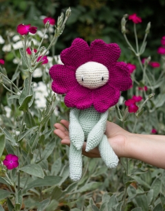 Rose Campion