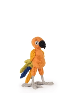 Miguel the Sun Conure