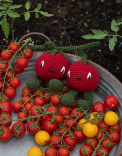 Cherry Tomatoes