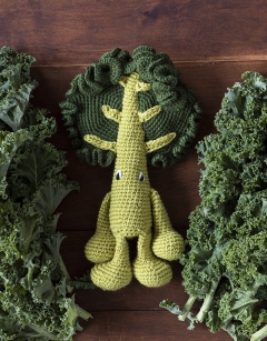 Curly Kale