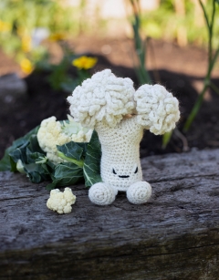 Cauliflower Floret Kit
