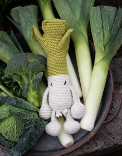 Leek