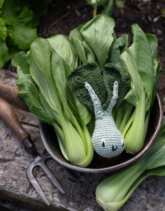 Pak Choi