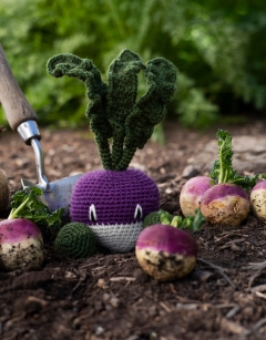Turnip