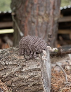 Algernon the Woodlouse