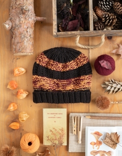 Beneath the Trees Palette Bundle: Amber