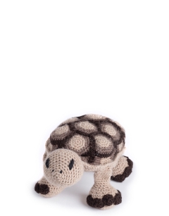 Walter the Tortoise