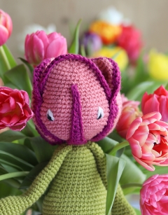 Bicolour Tulip