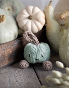 Munchkin Pumpkin