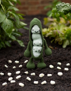 Broad Beans