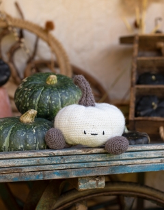 Crown Prince Pumpkin