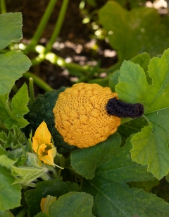 Tall Gourd