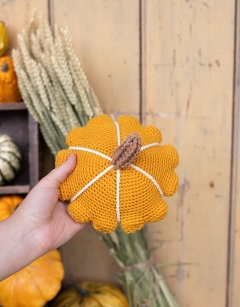 Patty Squash