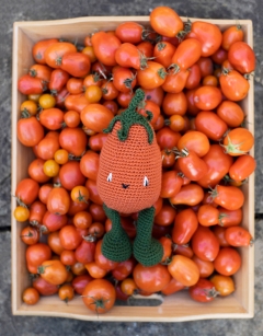 Green Plum Tomato