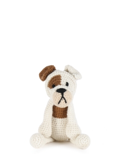 Vera the English Bulldog