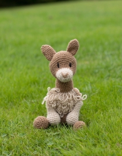 Luciana the Vicuna
