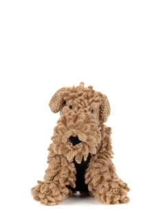 Wainwright the Lakeland Terrier