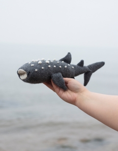 Bryony the Whale Shark