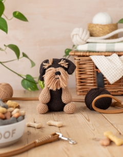 Garrett the Wire-Haired Dachshund