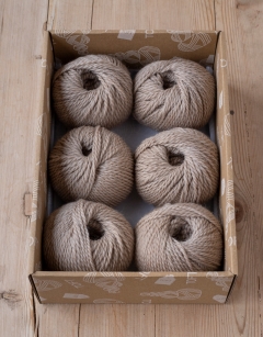 Baby Reindeer Discovery Box