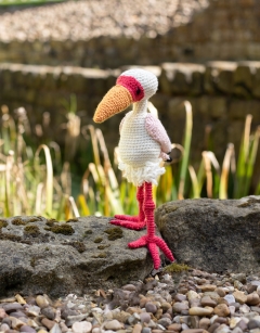 Penrod the Yellow-Billed Stork