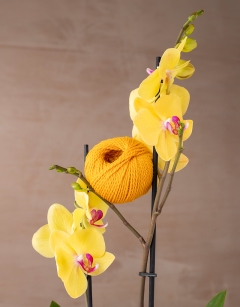 TOFT Yellow DK Yarn 25g